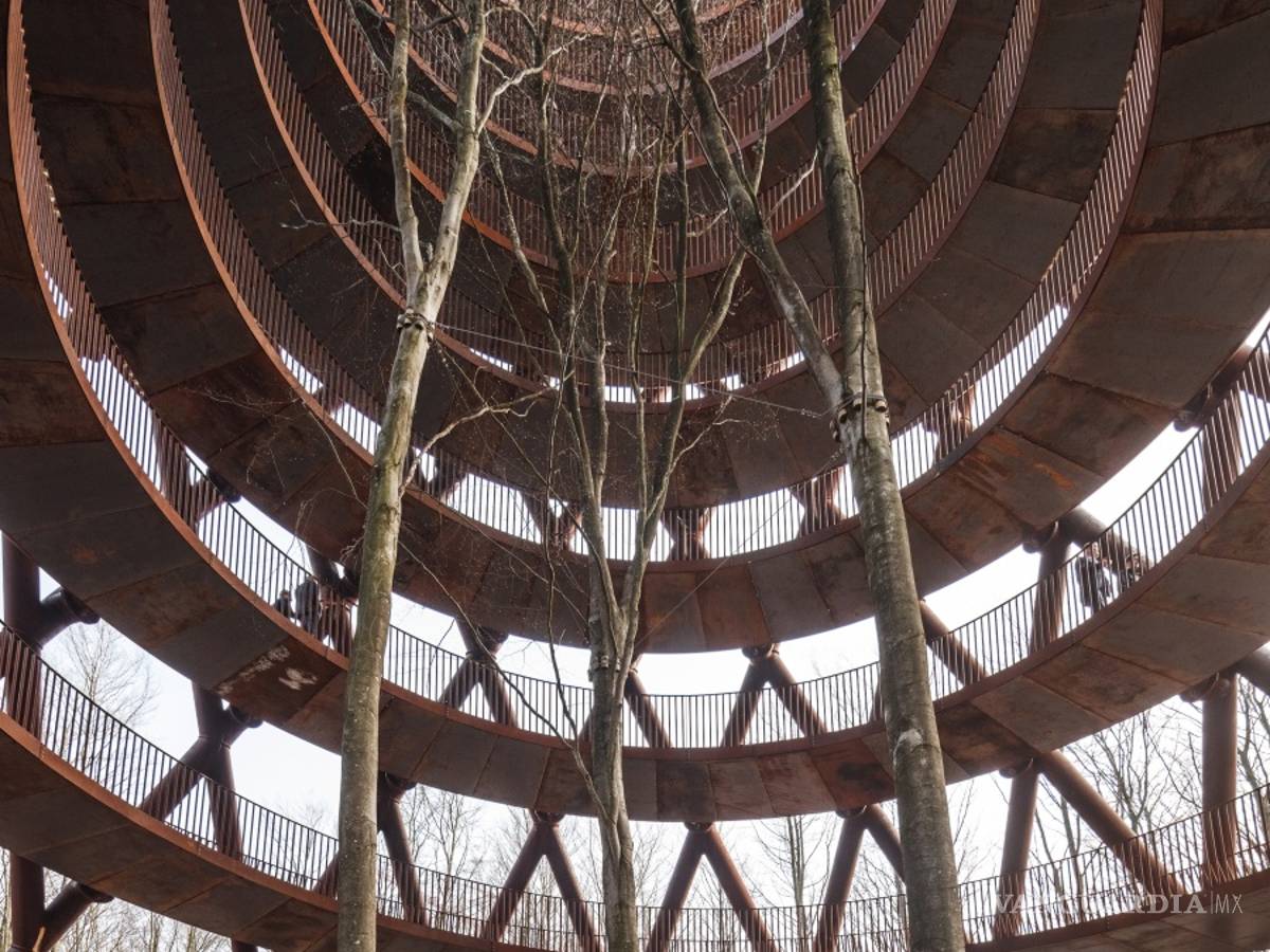 $!La Forest Tower les ofrece a los visitantes una nueva perspectiva del bosque escandinavo