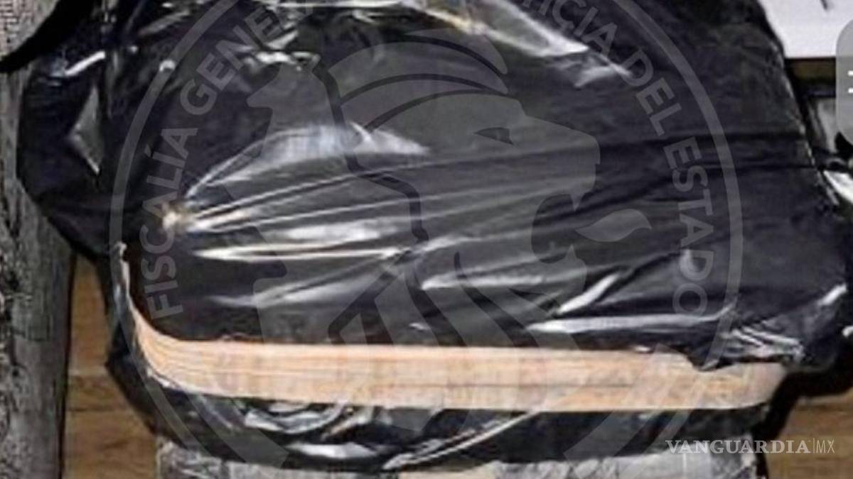 Cateo en vivienda deja el aseguramiento de más de media tonelada de marihuana, en NL