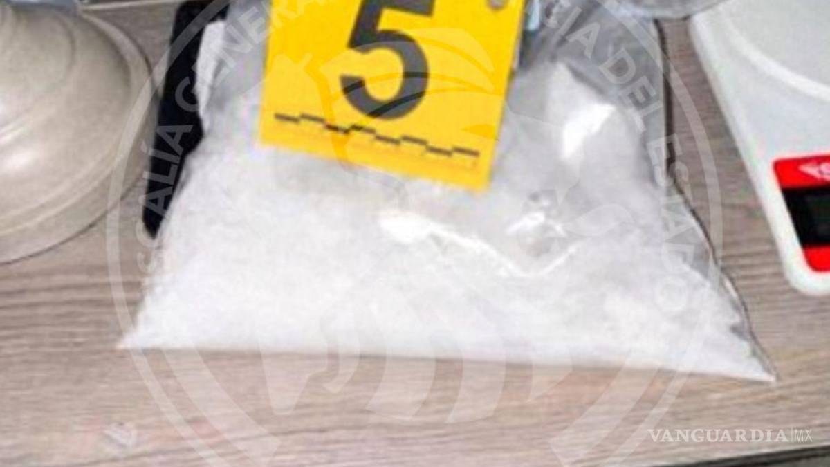 Cateo en vivienda deja el aseguramiento de más de media tonelada de marihuana, en NL