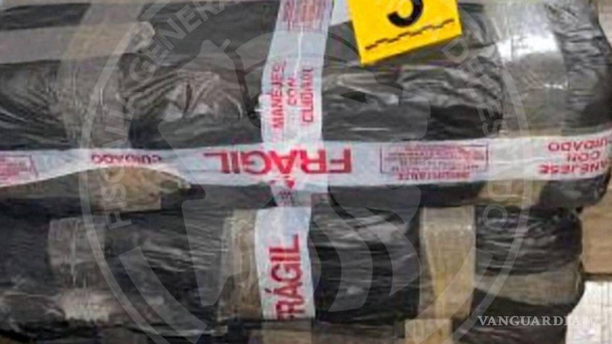 Cateo en vivienda deja el aseguramiento de más de media tonelada de marihuana, en NL