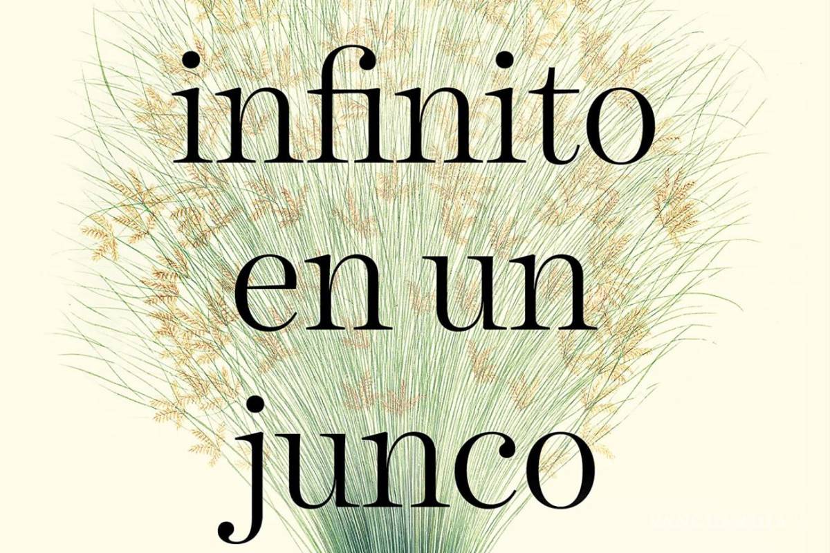 El Infinito en un Junco