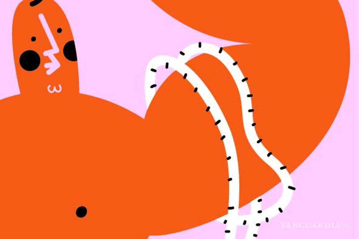 Noche de bodas y desencuentros