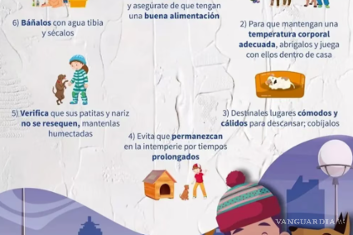 $!Invierno 2025: SSC recomienda estas acciones para proteger a tus mascotas del frío