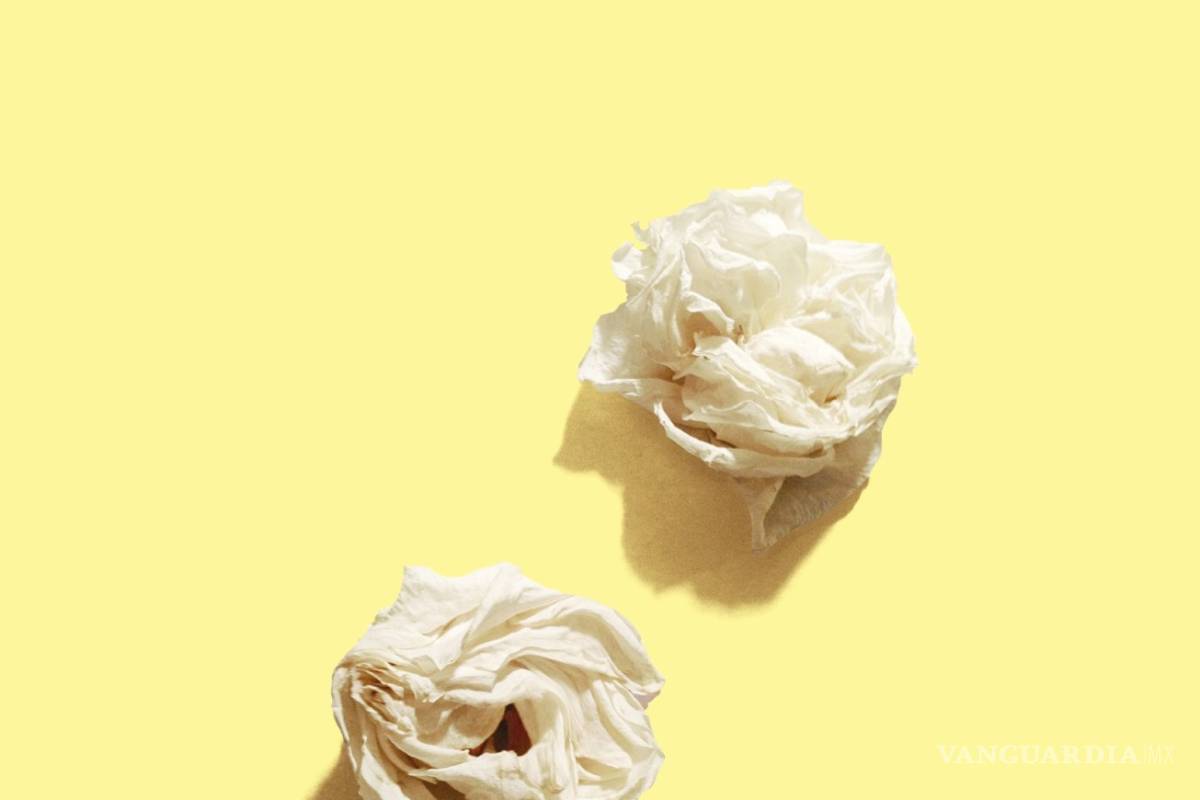 $!"Parece que fuera es primavera” de Conchita De Gregorio ya está en México