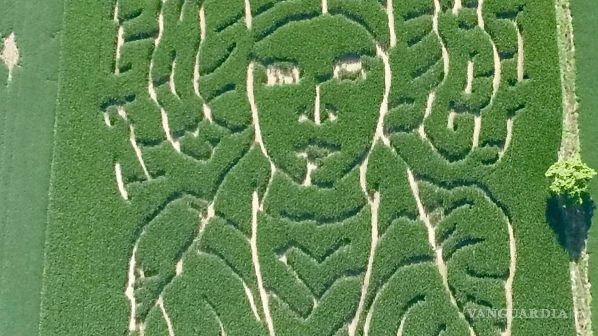 Granjero planta maizal en honor a Carrie Fisher en Indiana