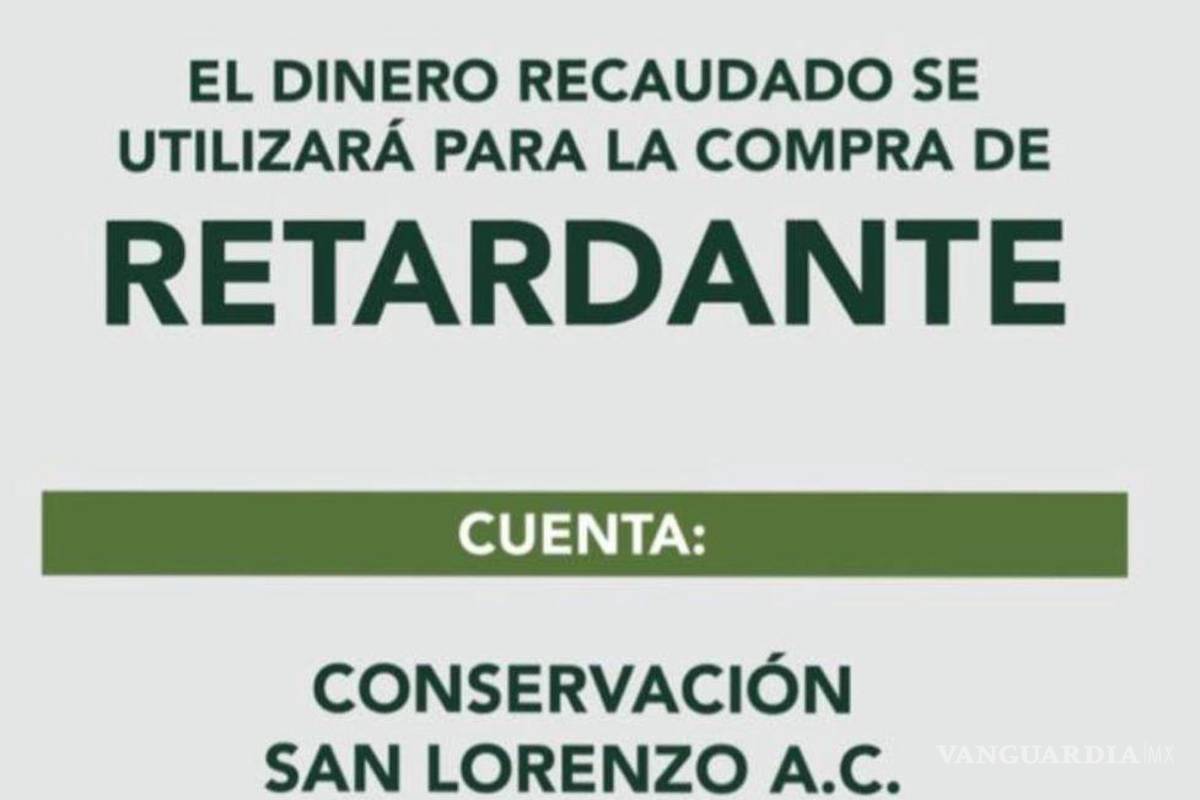 Por incendio, niña de Saltillo dona dinero que le dio el “Ratón Pérez” al Cañón de San Lorenzo