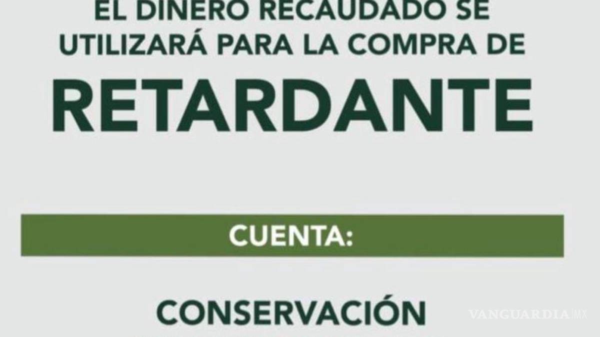 Por incendio, niña de Saltillo dona dinero que le dio el “Ratón Pérez” al Cañón de San Lorenzo