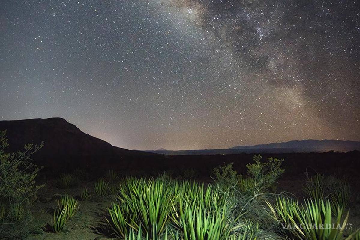 $!Comparte Daniel Bates la vitalidad del desierto en el MUDE