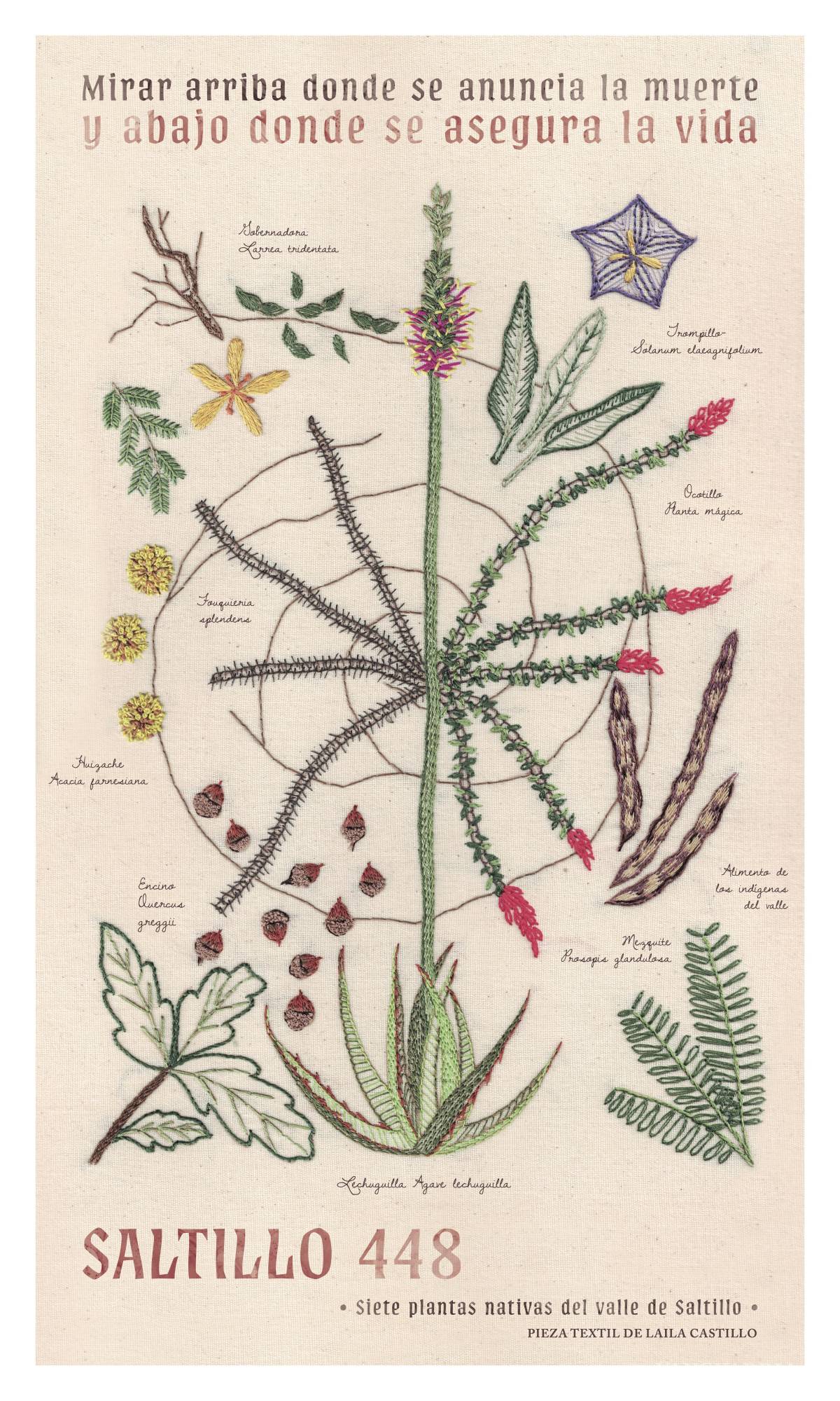 $!Las plantas nativas de Saltillo ilustran el póster (tejido) del aniversario 448 de la ciudad