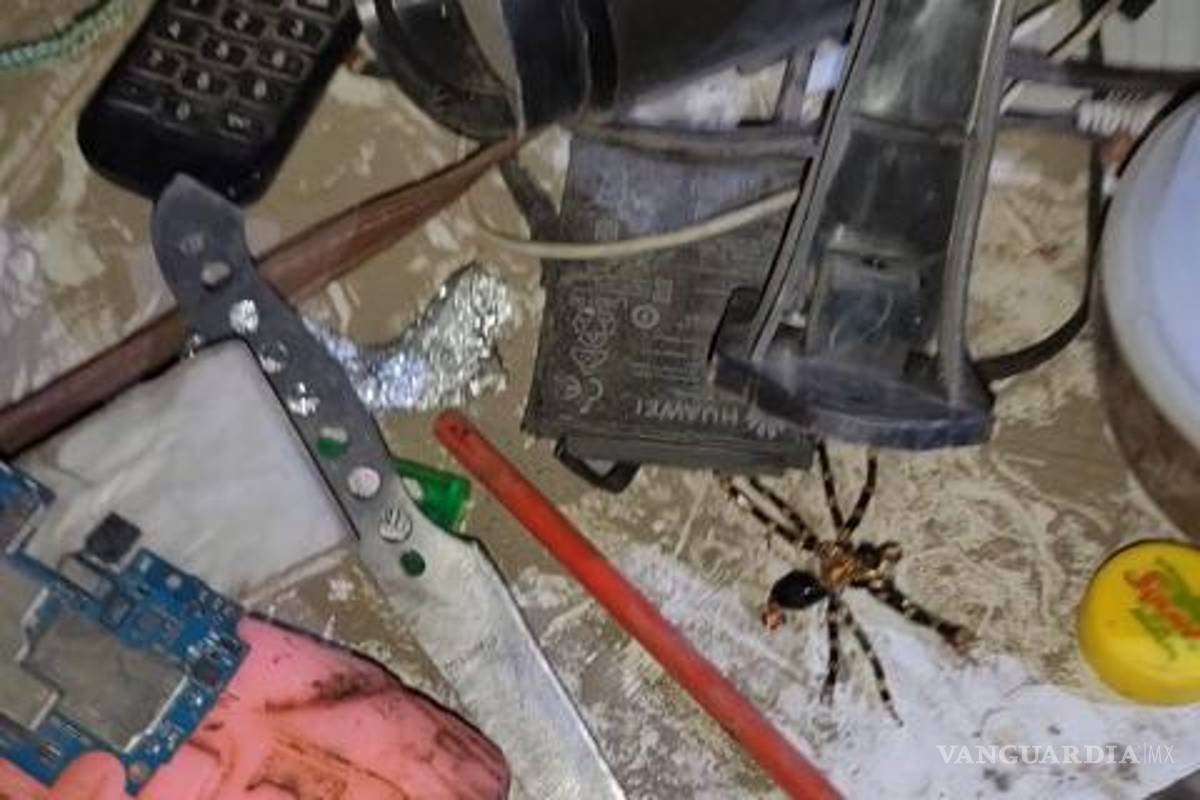 $!Autoridades de Saltillo destruyeron cuevas en Diana Laura y Nueva Jerusalén, utilizadas como escondites para armas hechizas y vigilancia.