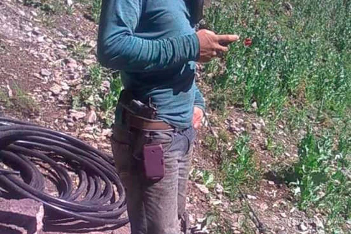 $!Desaparecidos sembraban droga, según su Facebook