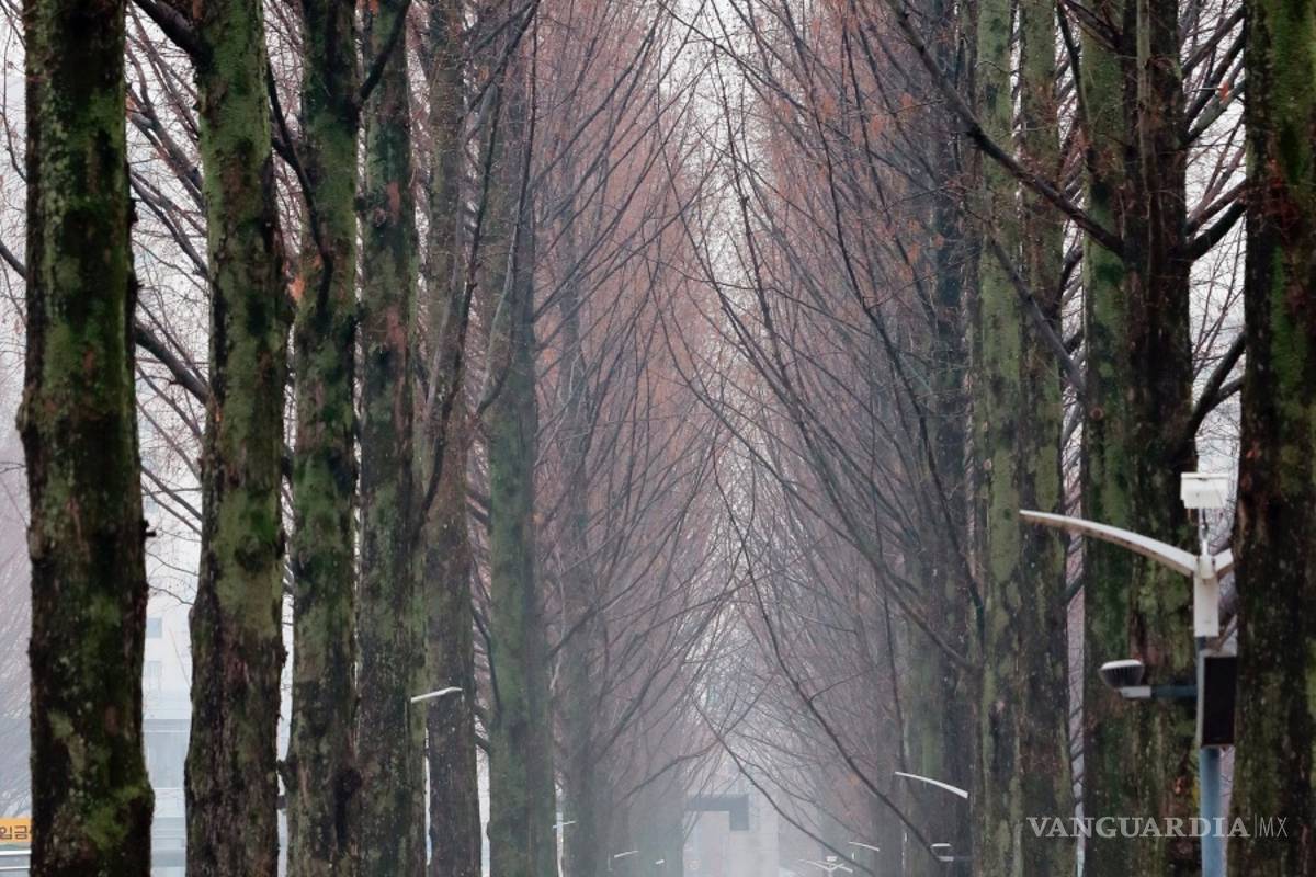 $!¿Influye el clima en nuestra salud y nuestro estado de ánimo?
