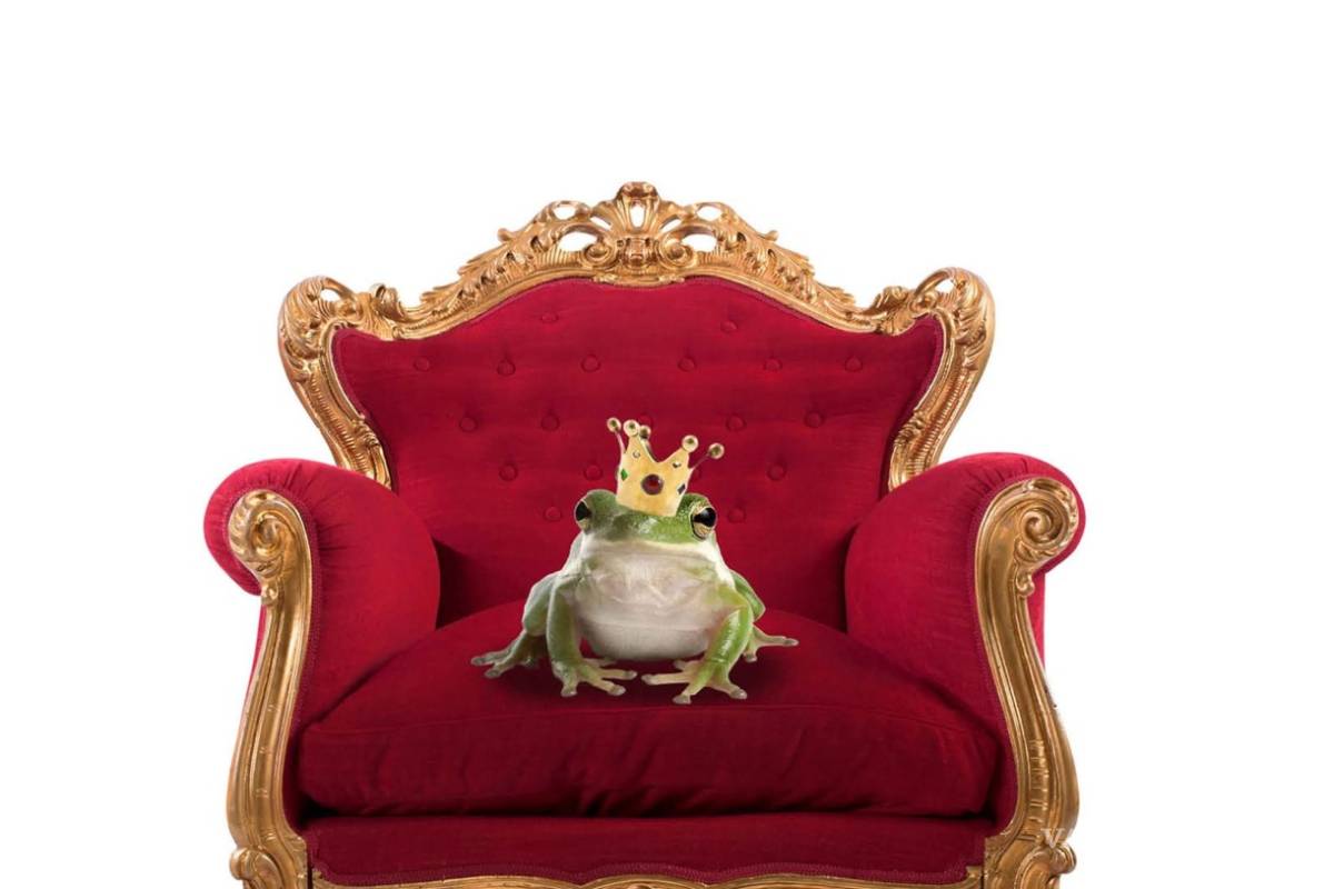 $!"Y colorín colorado... Tú" de David Safier, una oda a el inconformismo