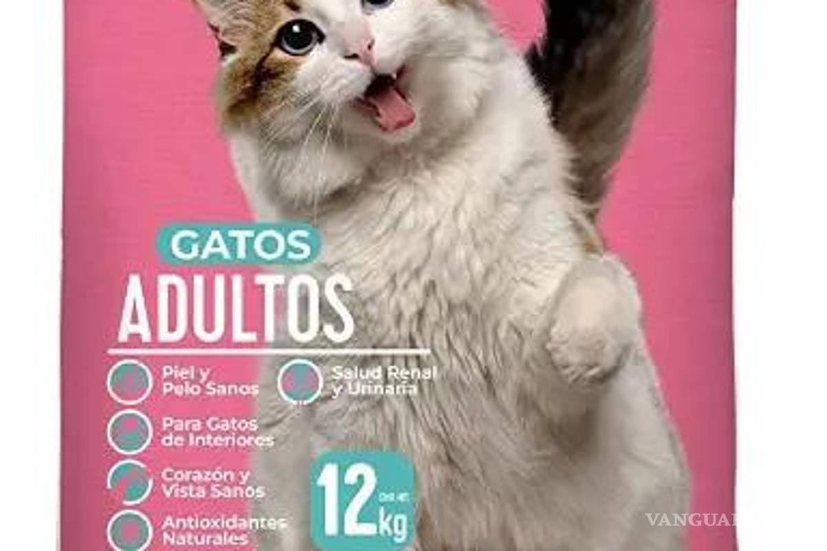 $!¿Hay gato encerrado en las croquetas para tu ‘michi’?... Según Profeco, estas son las marcas más engañosas y dañinas para tu mascota
