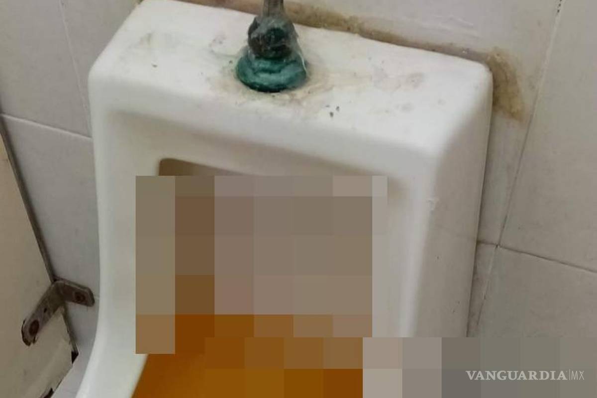 Estudiantes del Tecnológico de Saltillo exhiben baños insalubres (imágenes fuertes)