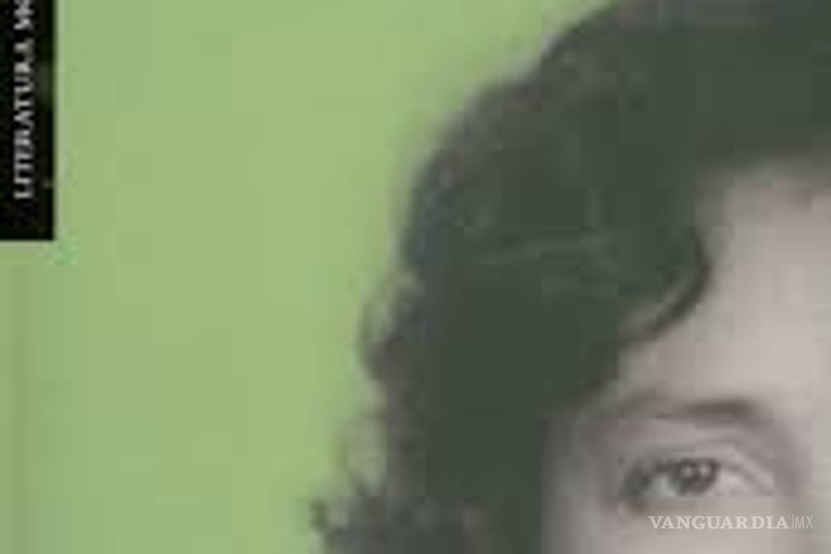 $!La novela de la guerrilla en México