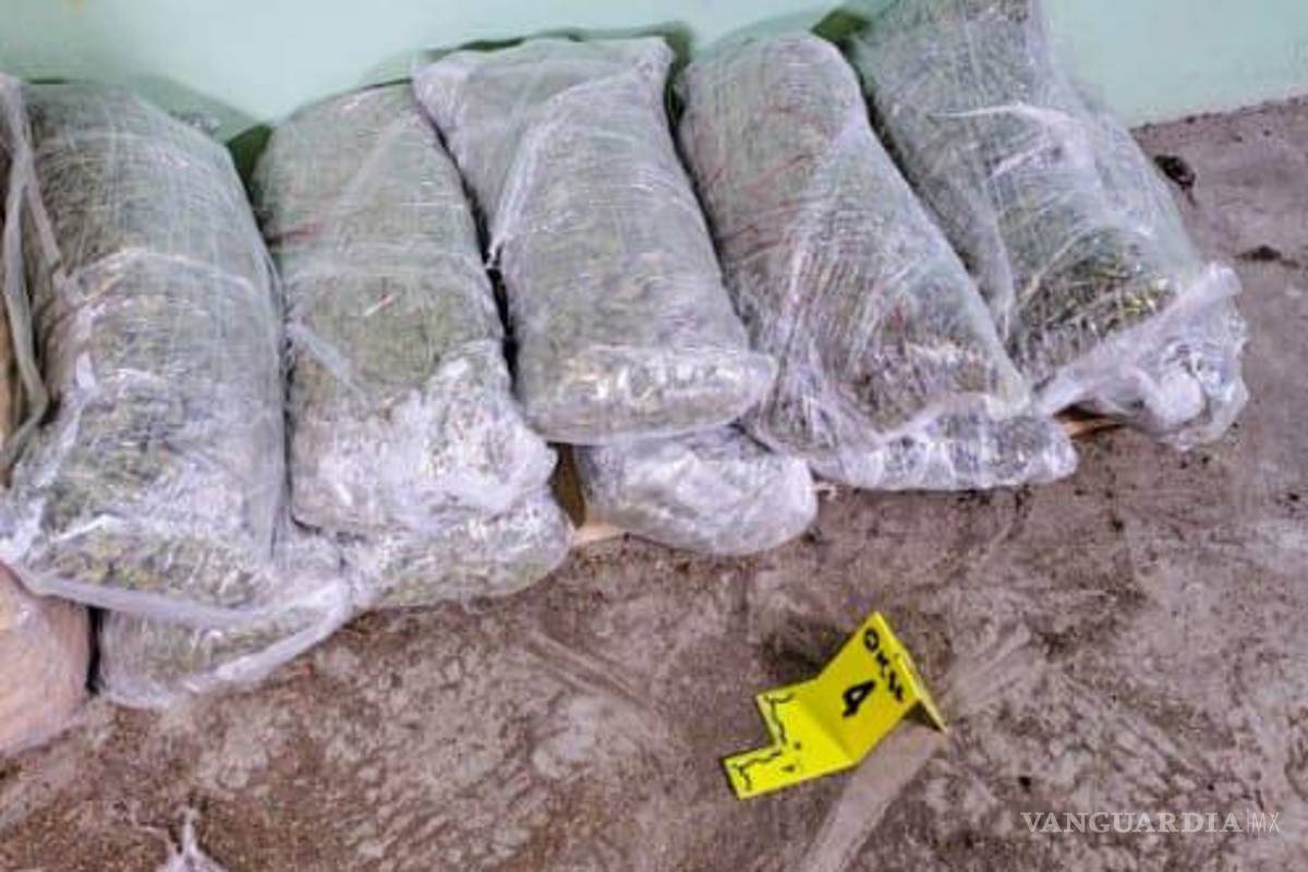 Nuevo León: Incautan más de 260 kilos de droga en cateos a viviendas en Apodaca