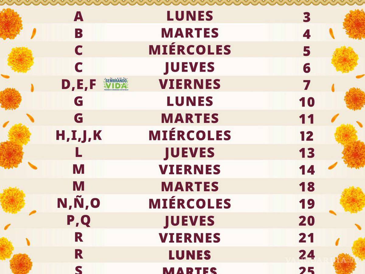 $!Pensión Bienestar: Quiénes reciben el pago de 6,200 pesos del 4 al 8 de noviembre, según el calendario