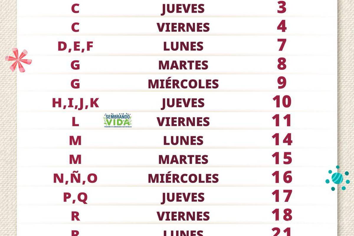 $!Pensión Mujeres Bienestar: ¿quiénes recibirán el pago de 3 mil pesos del 7 al 11 de julio?