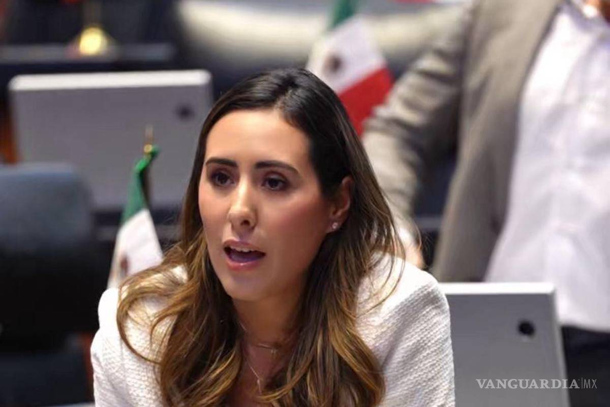 $!La senadora Cecilia Guadalupe Guadiana Mandujano compartió esta solicitud de un minuto de silencio en sus redes sociales.