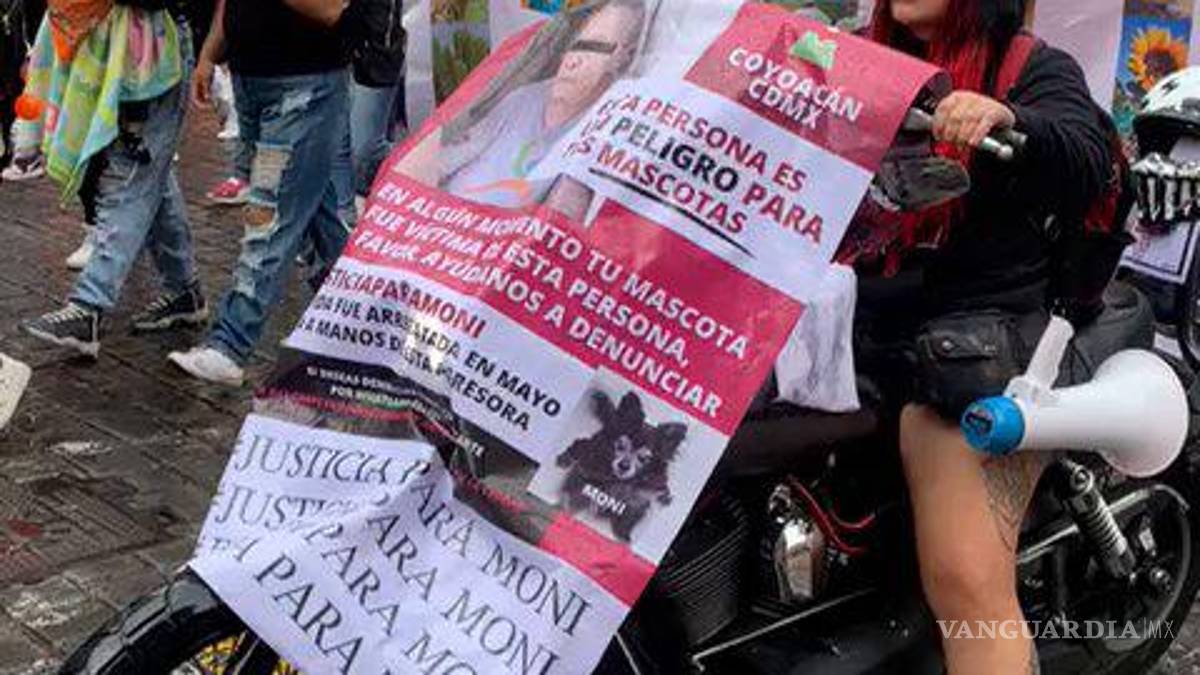 Marchan por los derechos de los animales en la CDMX