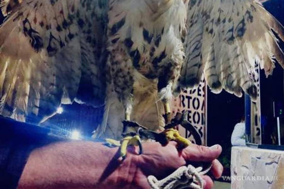 $!Se inició una carpeta de investigación por el delito de maltrato animal y tráfico.