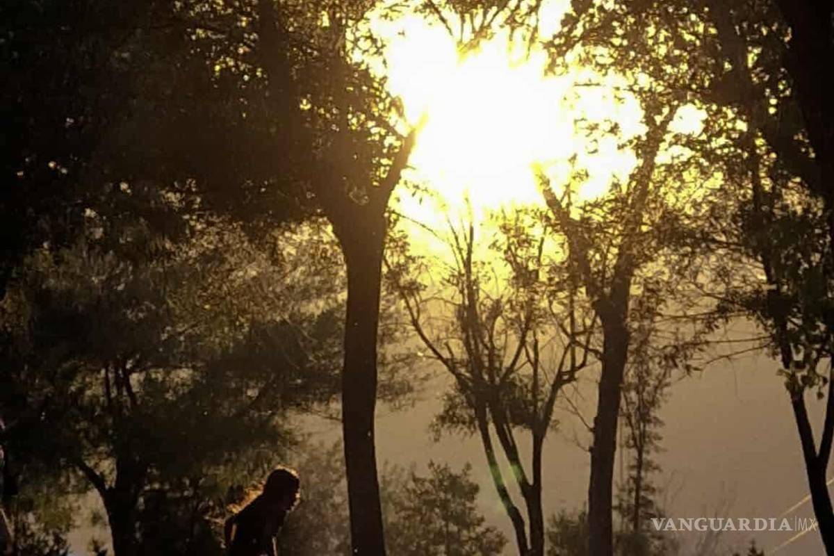 El mapa que nos representa