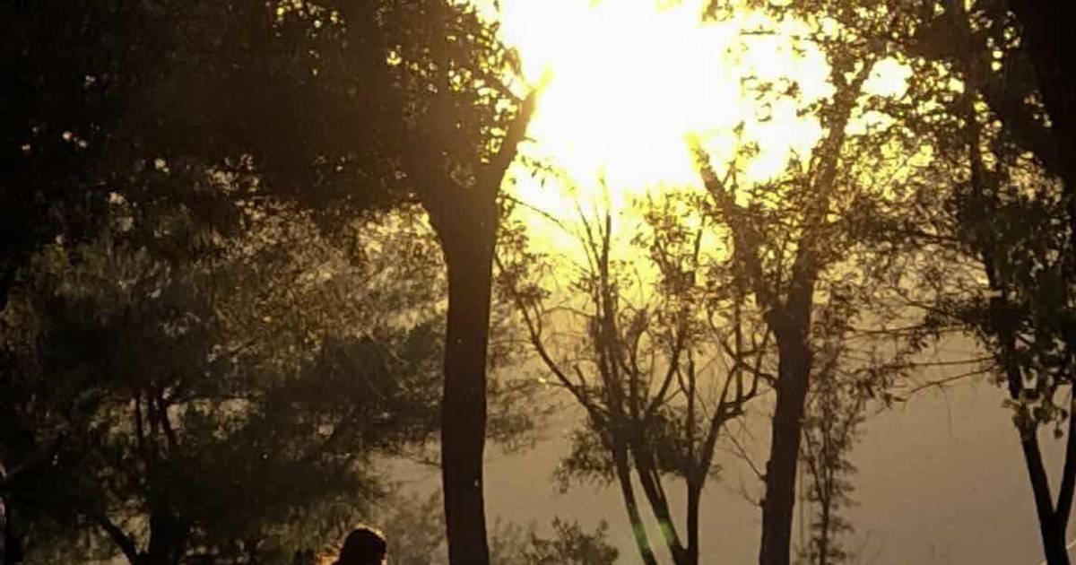 El mapa que nos representa