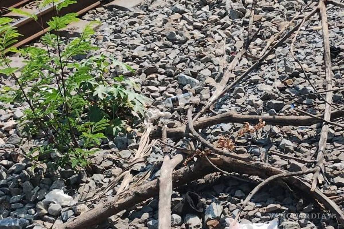 Detienen a hombre en Nuevo León por intentar sabotear paso de ‘La Emperatriz’