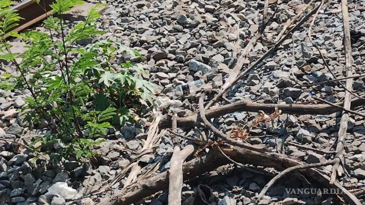 Detienen a hombre en Nuevo León por intentar sabotear paso de ‘La Emperatriz’