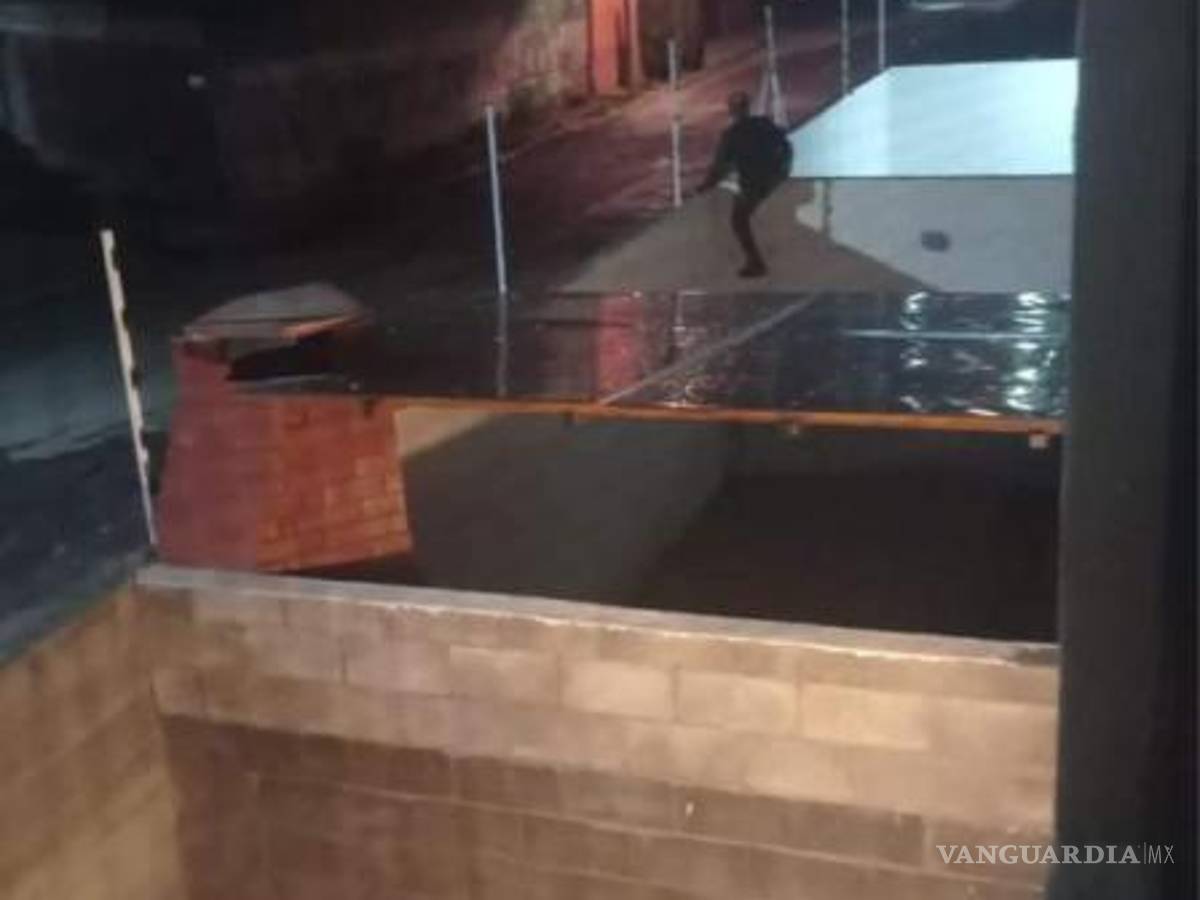 $!Se les ha visto brincar a las viviendas.