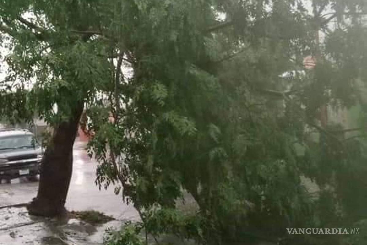 $!Acuña: deja tormenta con vórtices de tornado severos daños y sin luz a la ciudad