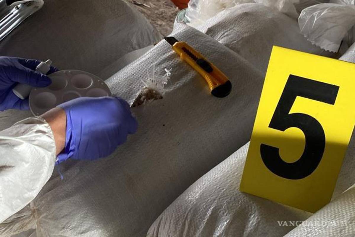 Golpe al crimen organizado: desmantela FGR laboratorio de drogas sintéticas en Nuevo León