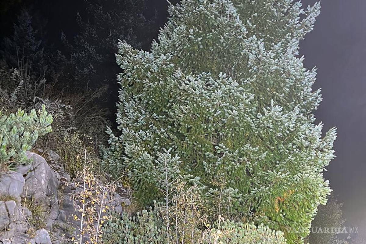 $!Se dijo que se reactivarán a primera hora del lunes las labores de búsqueda en la serranía arteaguense.