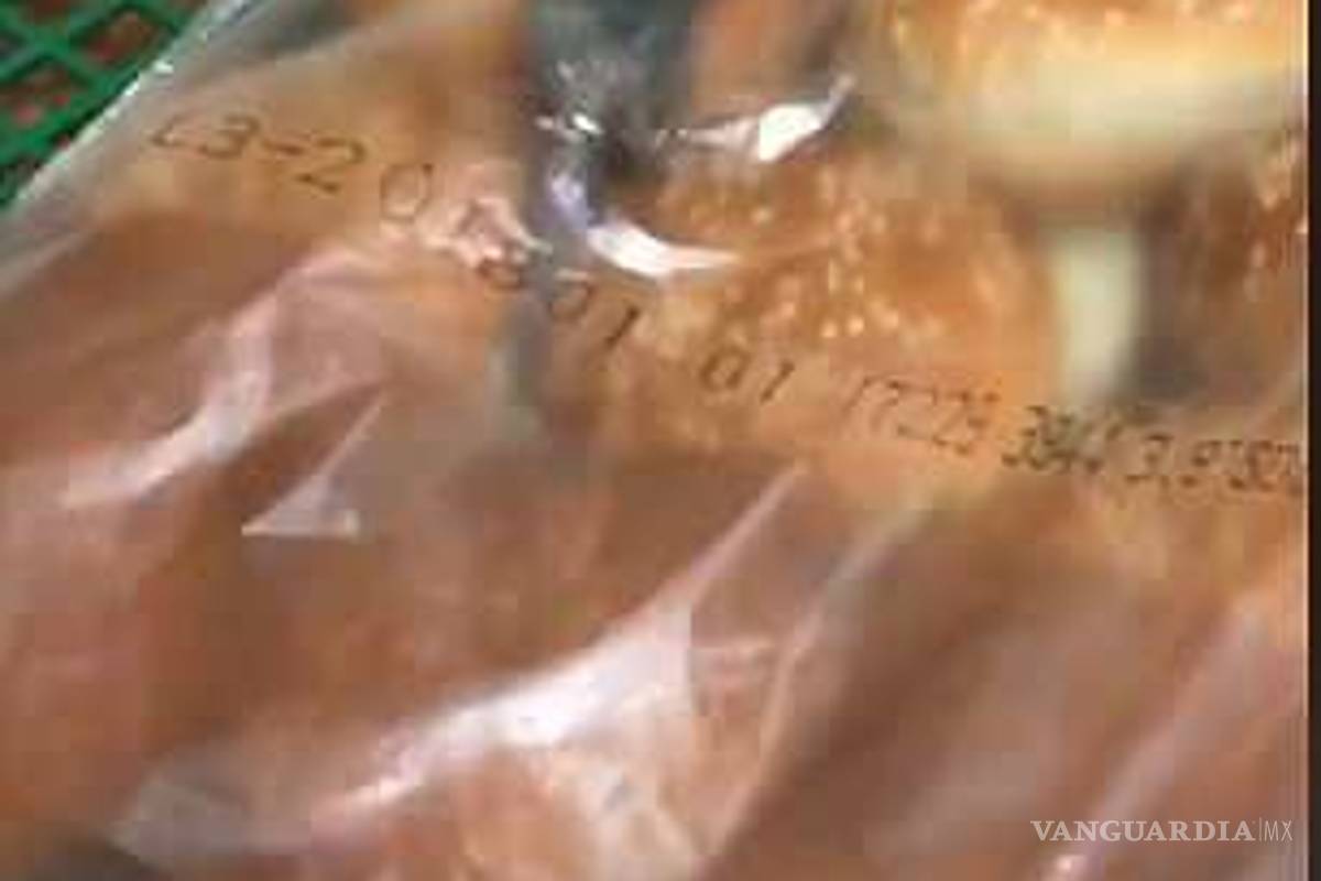 $!Encuentran 2 ratas en bolsa de pan de Burger King (Video)