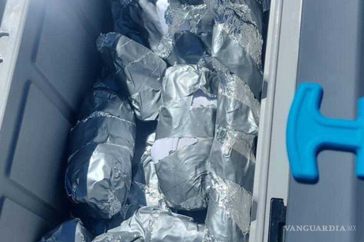 FGR detiene a hombre con armas y cartuchos sobre la carretera Matehuala-Saltillo