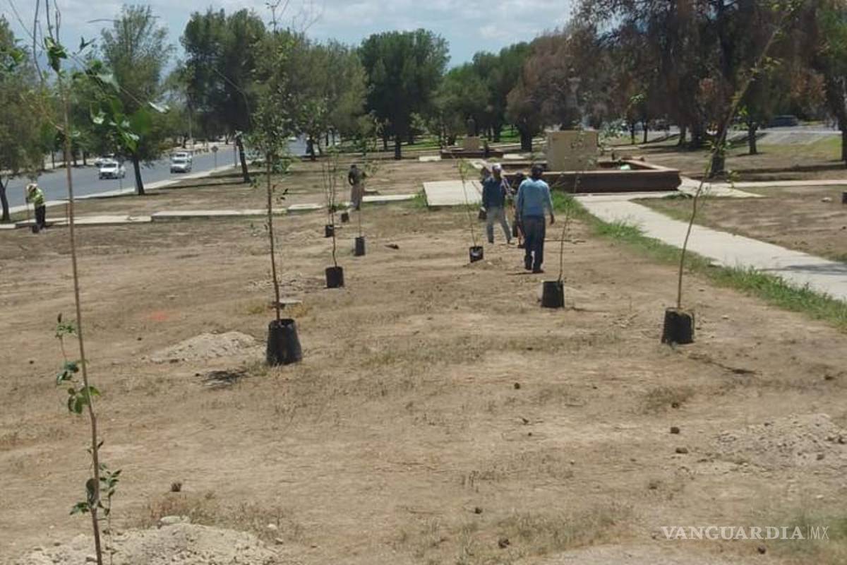 $!Paseo de la Reforma, uno de los pulmones verdes de la ciudad, contará con nuevos árboles en sus jardines.