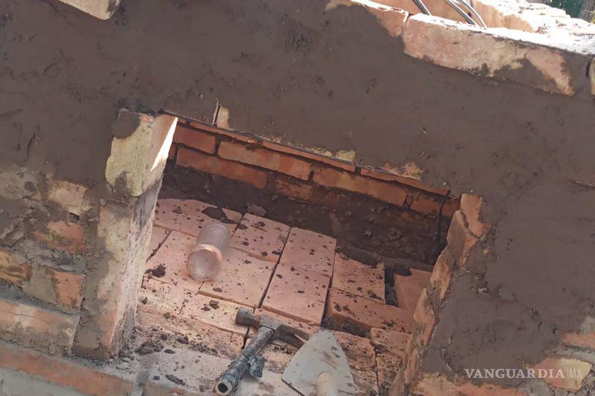 Clausuran restaurante de Torreón por proliferación de fauna nociva