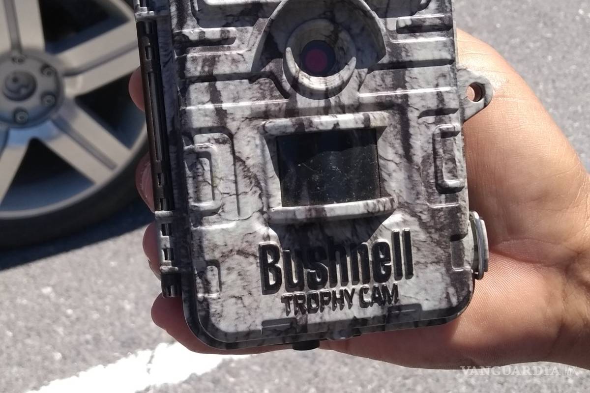 Jauría de 140 perros es la que ataca al ganado en ejidos al sur de Saltillo y no el 'chupacabras': SMA