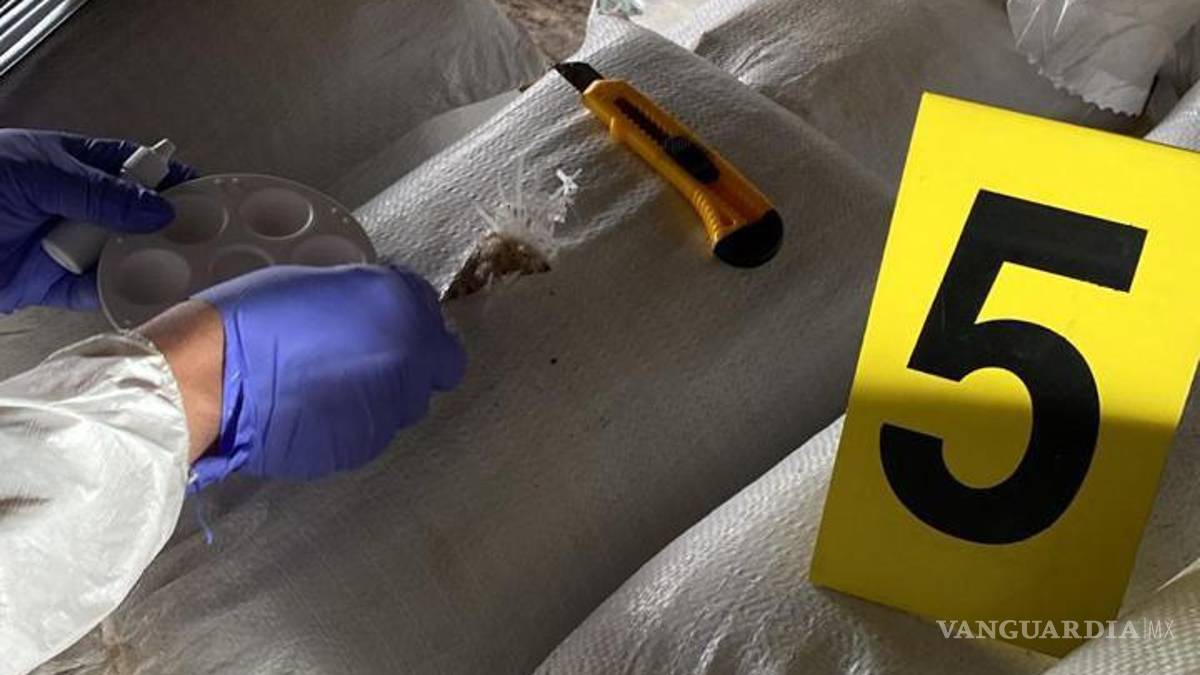 Golpe al crimen organizado: desmantela FGR laboratorio de drogas sintéticas en Nuevo León