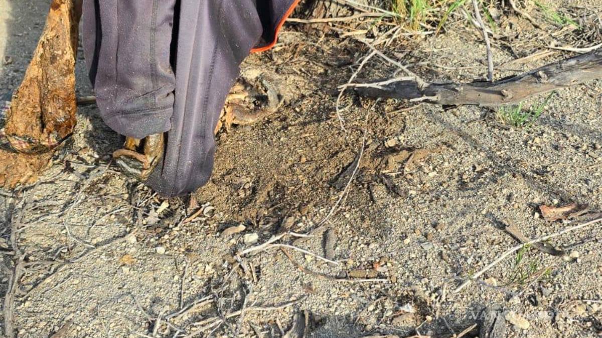 Localizan restos humanos en la carretera Saltillo-Torreón
