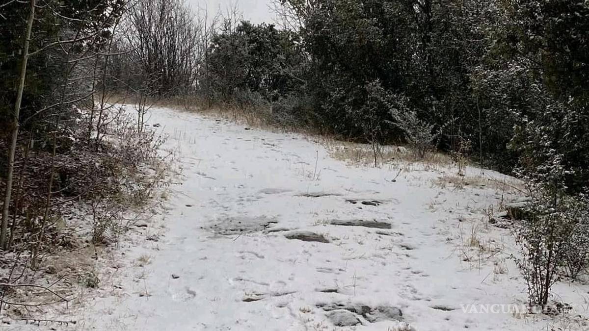 Reportan nieve en zonas altas de la sierra de Arteaga