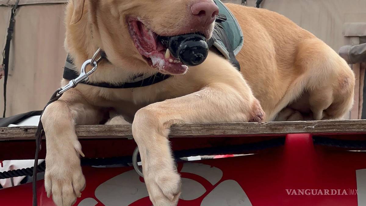 Rescatistas de Nuevo León salen a Texas a ayudar en búsqueda de desaparecidos por inundaciones