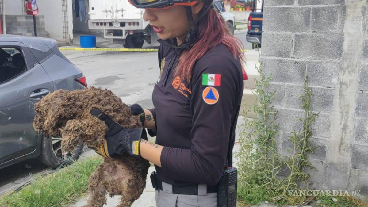 Explosión por acumulación de gas deja dos lesionados, en Nuevo León