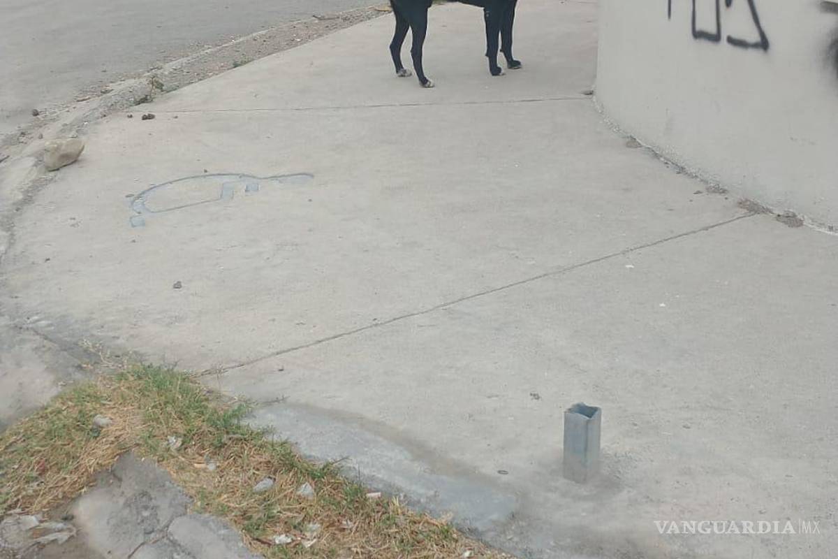 Perro persigue a motociclista y la tumba, en Ramos Arizpe