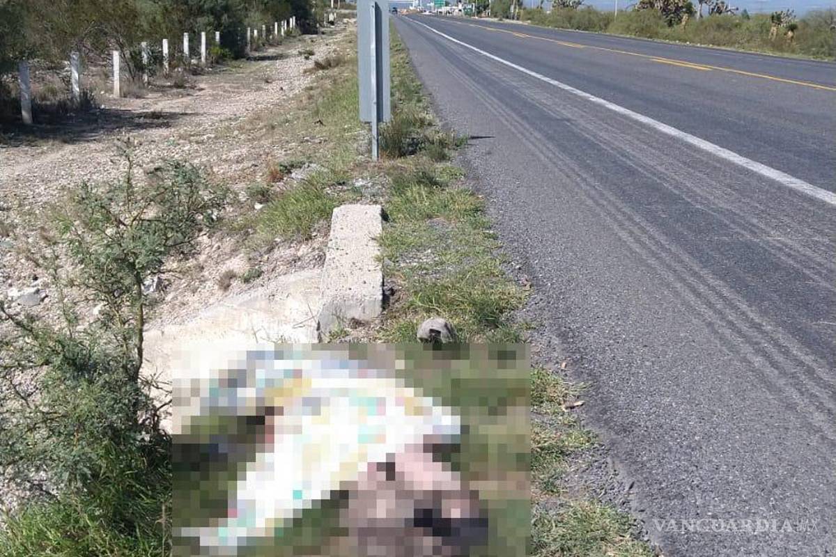 Hallan a menor con discapacidad atropellado en la carretera a Zacatecas