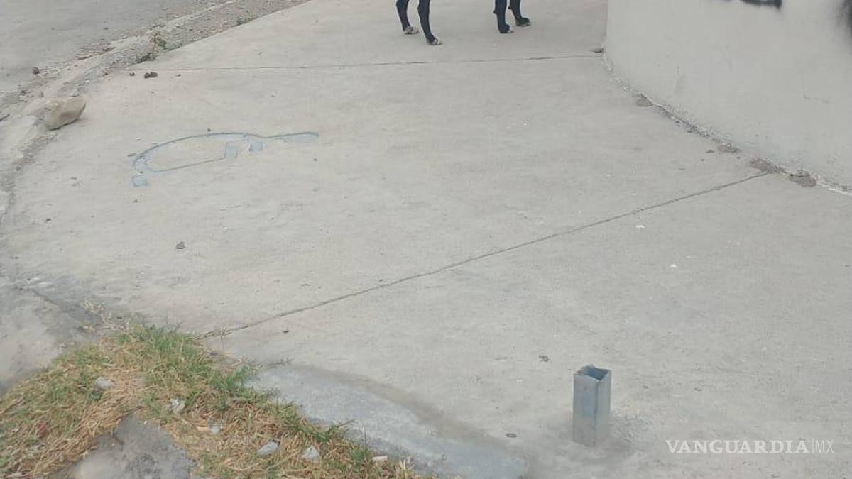 Perro persigue a motociclista y la tumba, en Ramos Arizpe