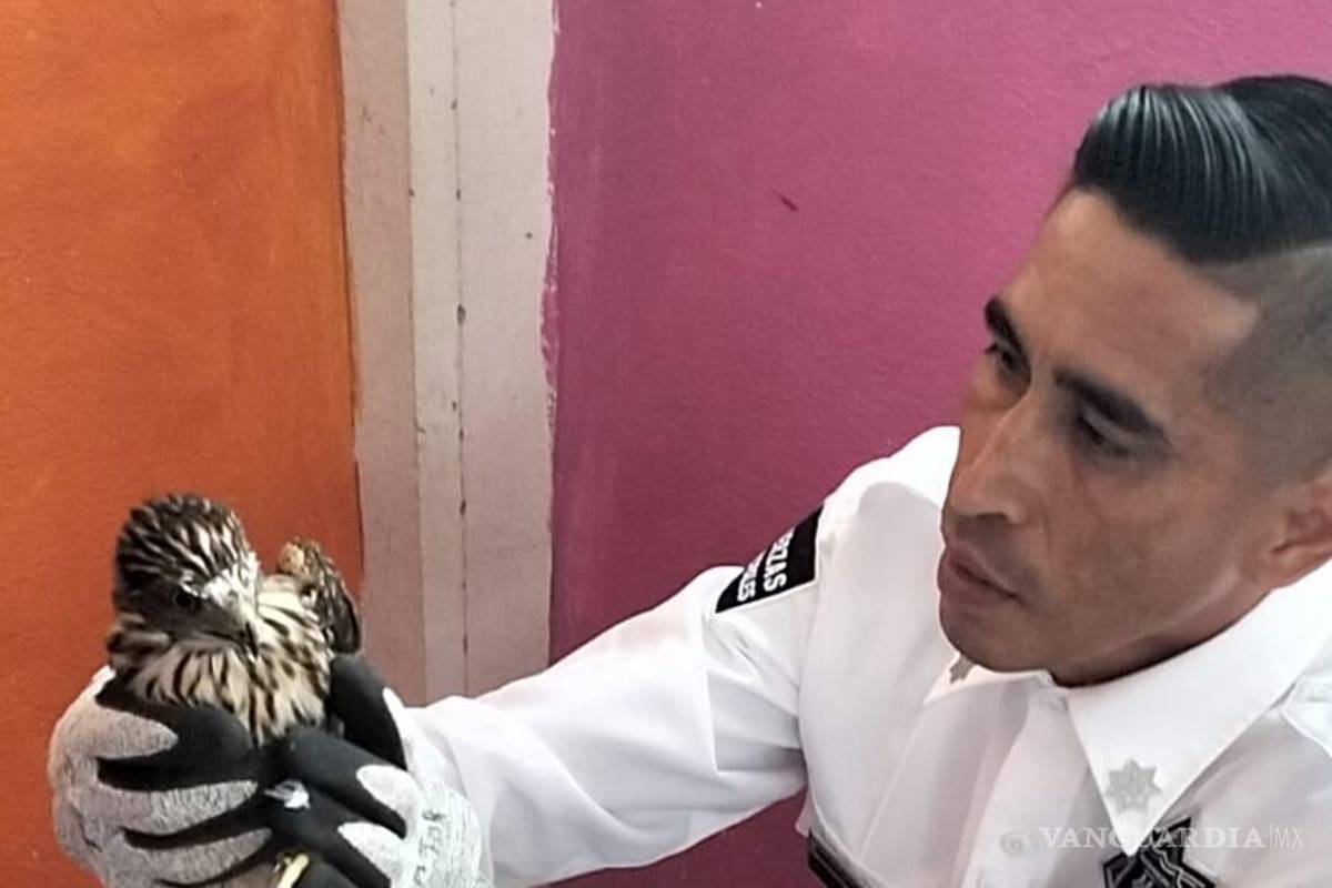 $!Elementos de la Policía Ambiental de Saltillo participaron en la capacitación impartida por la Secretaría de Medio Ambiente de Coahuila.