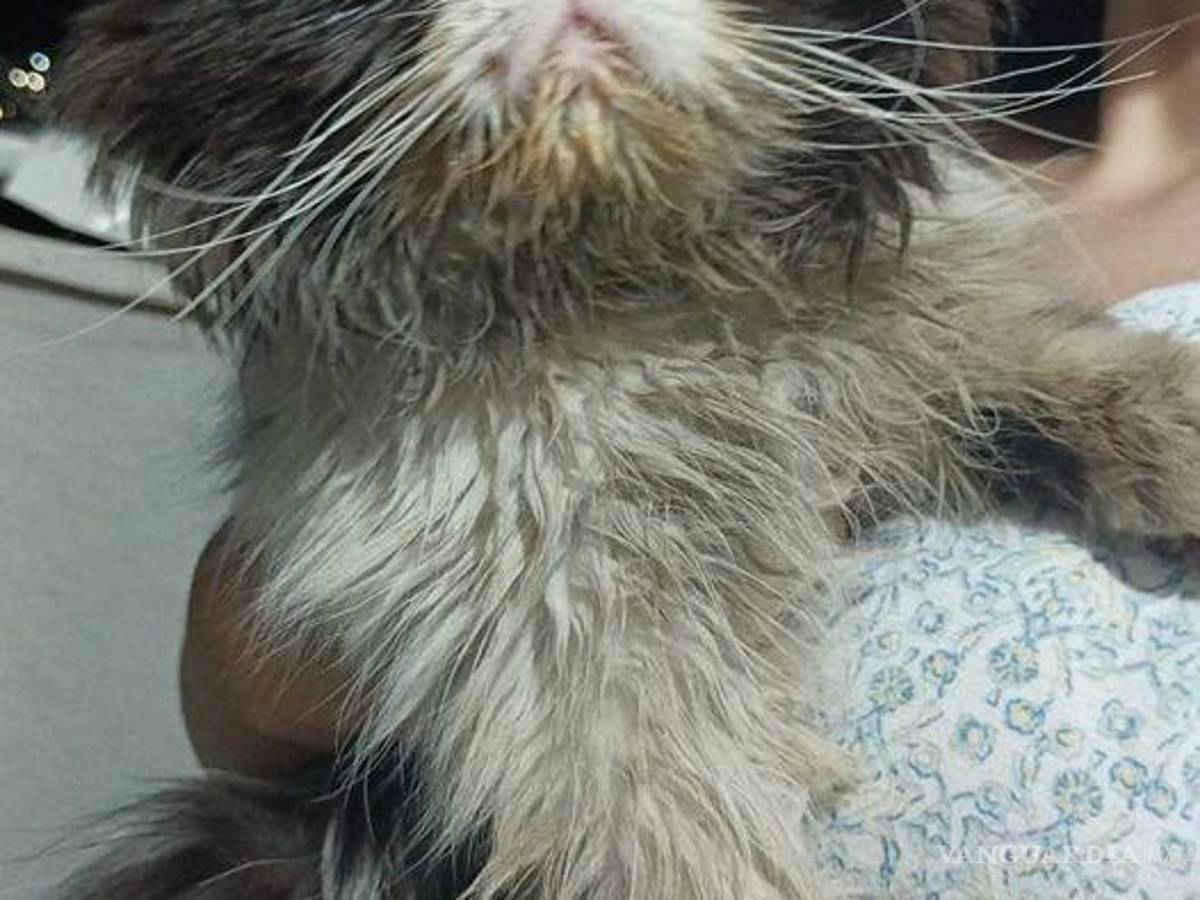 $!Parece Bruno pedir que no tomen mucho en cuenta las condiciones en las que volvió, y que mejor celebren que ya llegó.