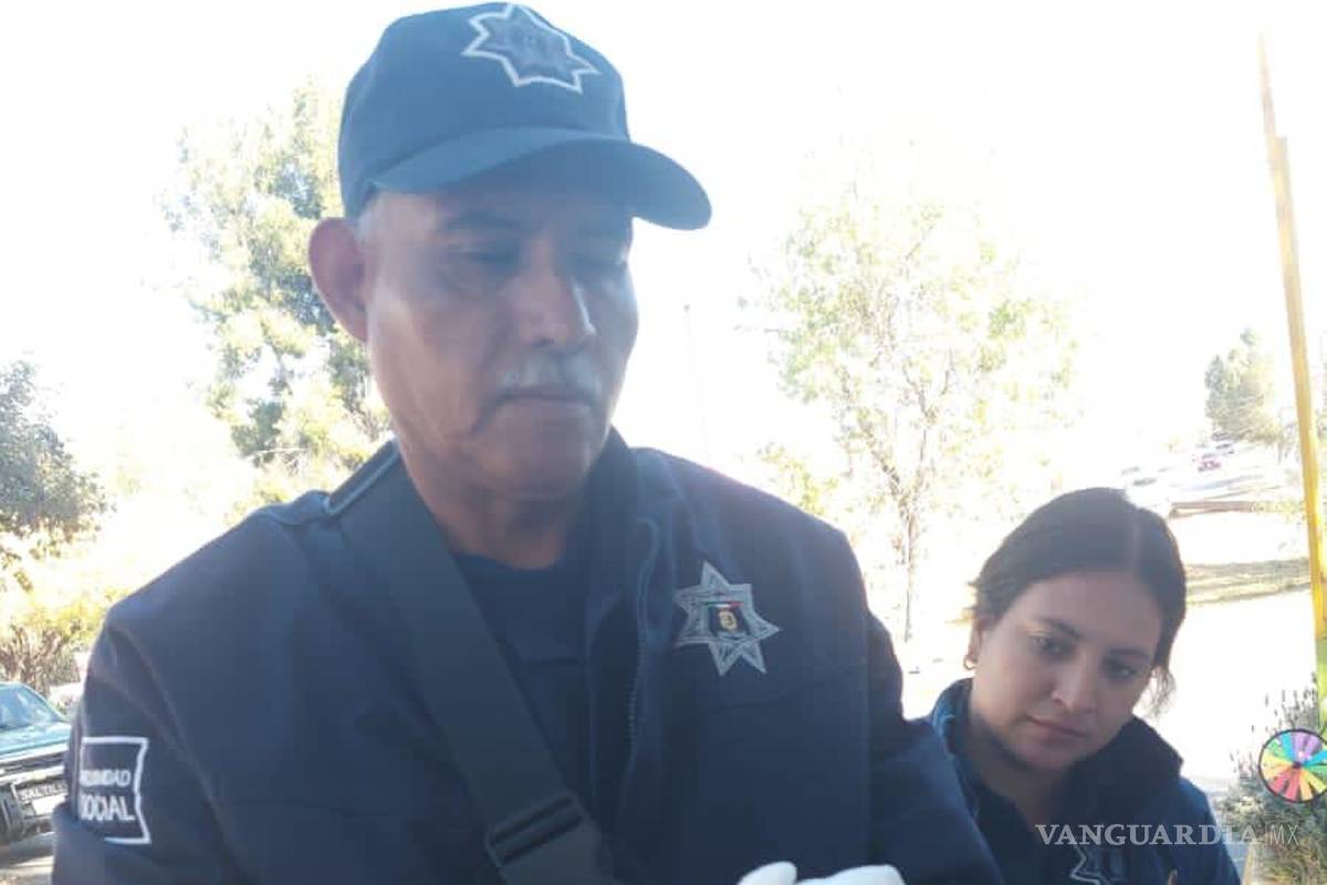 $!Entre las especies reubicadas están osos negros, tlacuaches, aves rapaces, serpientes, mapaches, cacomixtles, zorros, venados y cotorros.